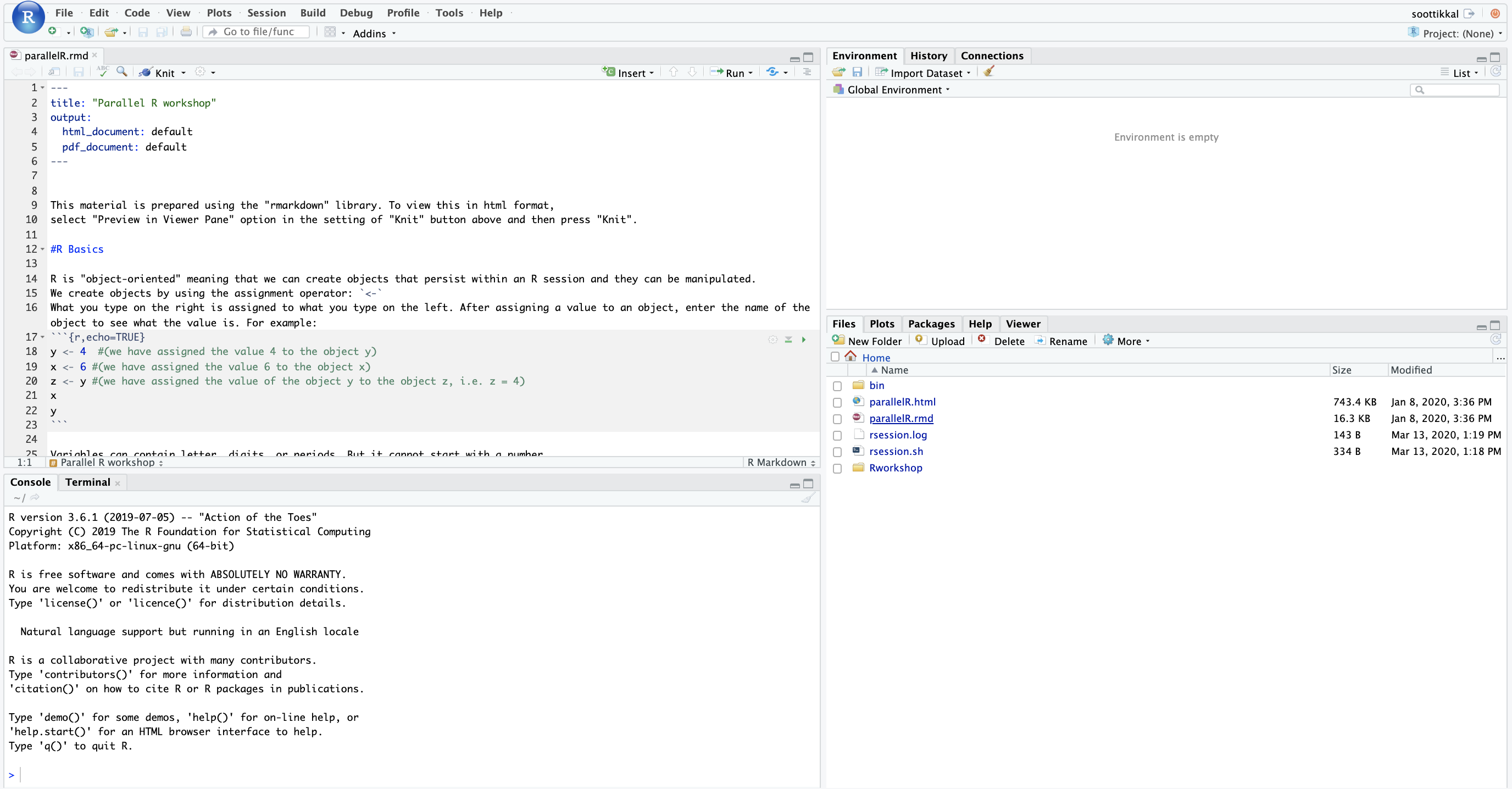 Image of an active RStudio session