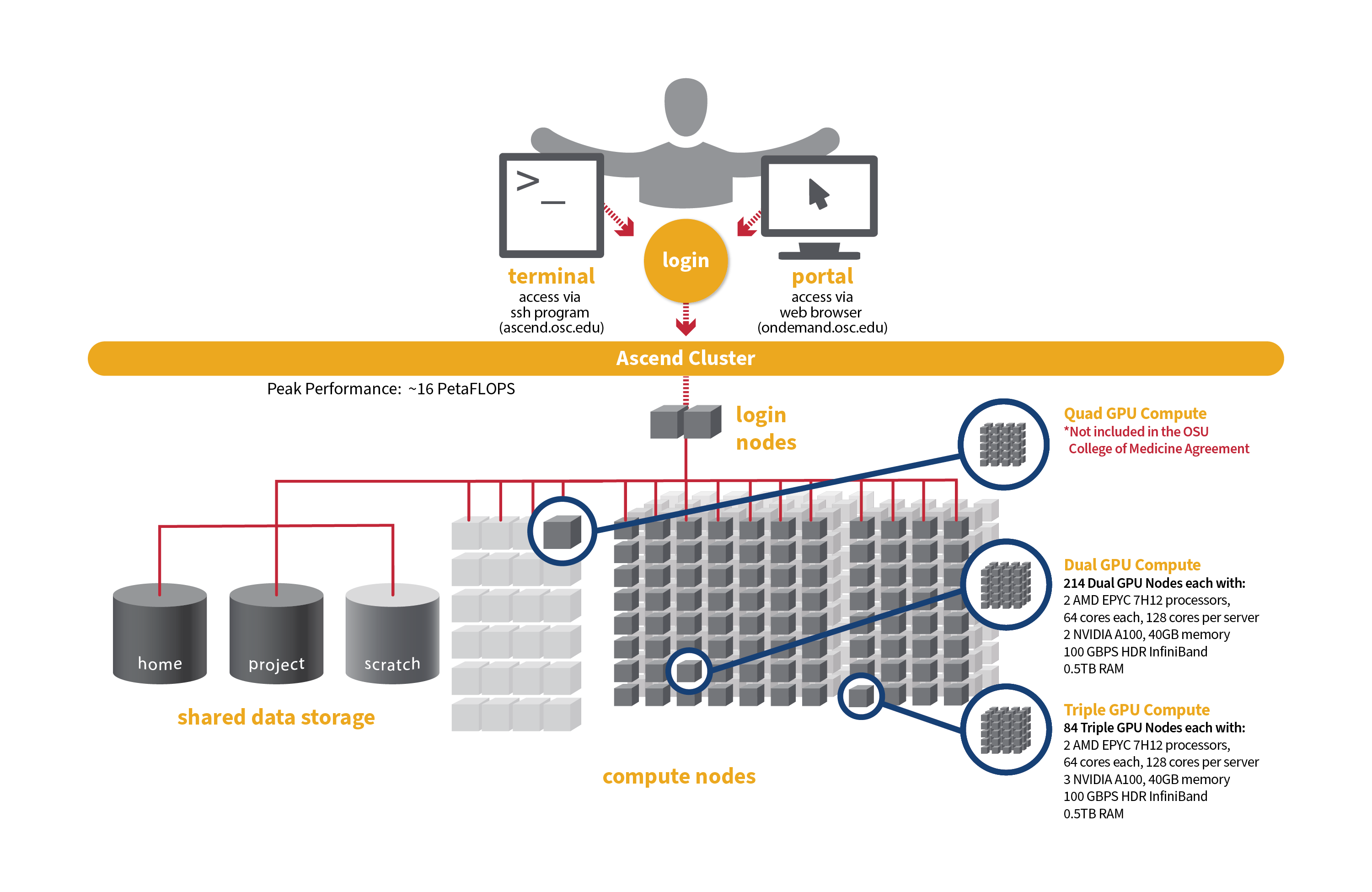 2025_1201 Ascend Cluster Graphic OSU College of Medicine.png