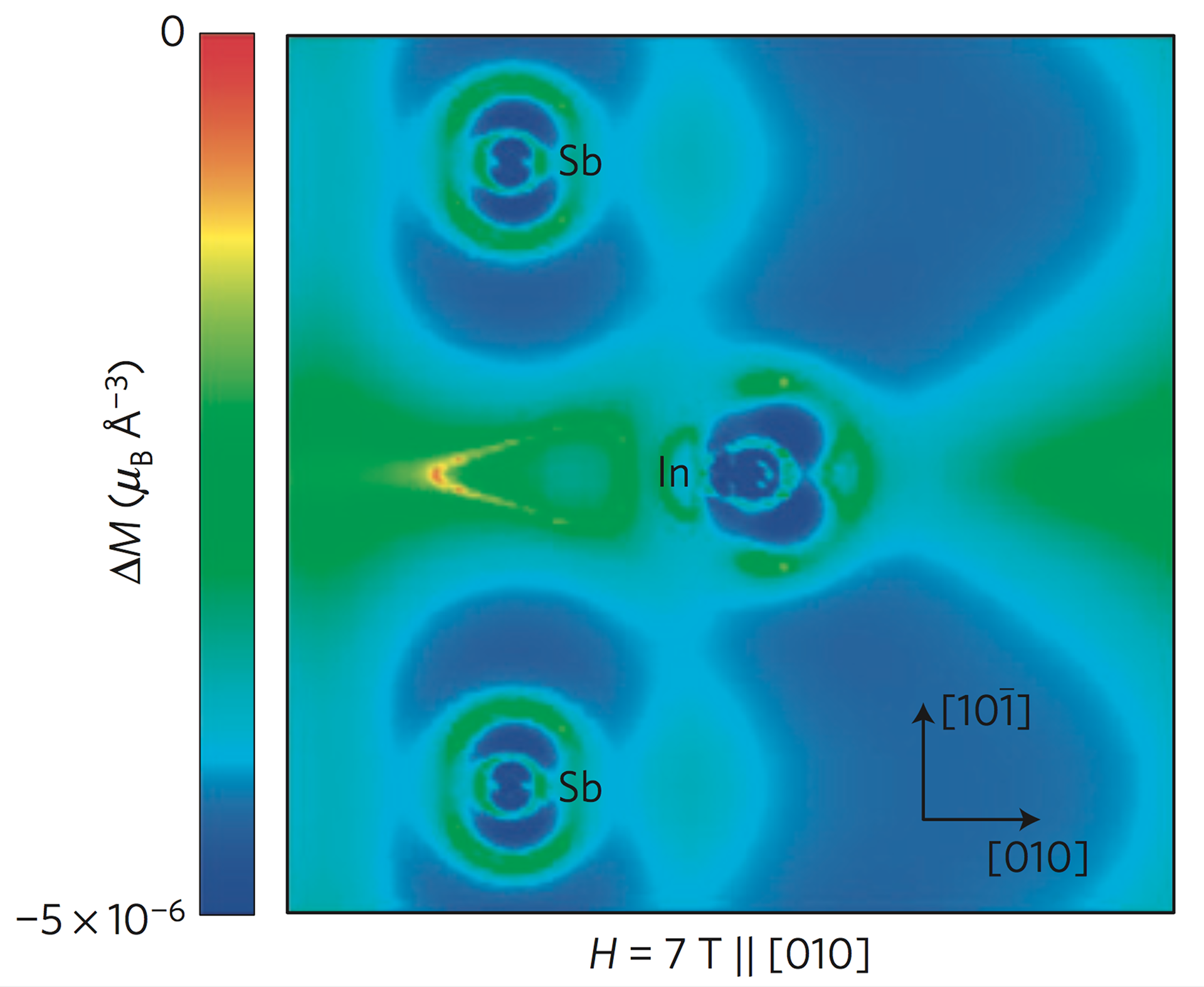 Phonon amplitude-dependent magnetic moments are induced on atoms 