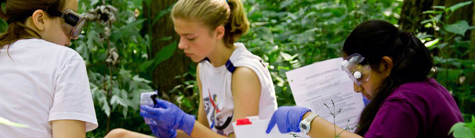 2013 YWSI Students