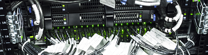 Close-up photof of Ruby Cluster